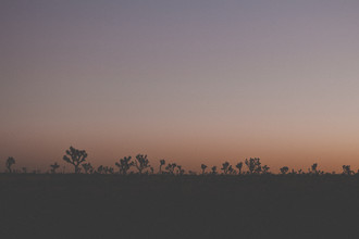 Thomas Neukum, Joshua Tree