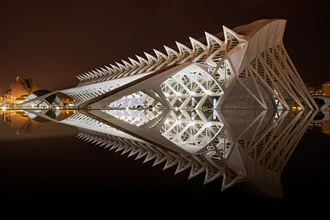 Fotokunst von Oliver Buchmann: Stadt der Künste und der Wissenschaften bei Nacht