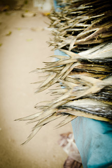 Gabriele Spörl, Fishmarket (Thailand, Asia)