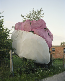 Piero Chiussi, Obstbaum