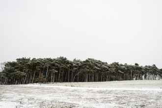 Piero Chiussi, Schönefeld