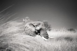 Tillmann Konrad, Friends