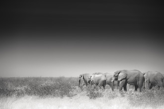 Tillmann Konrad, On their way