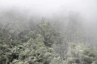 Fotokunst von Tillmann Konrad: nebliger Blick auf den Dschungel der Sierra Maestra