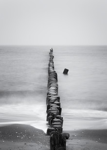 Holger Nimtz, line - Germany, Europe)