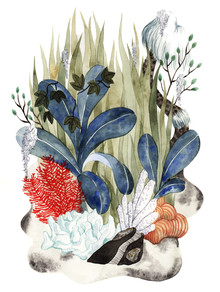 Rumi Hara, Borderland 6 - United States, North America)