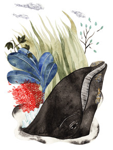 Rumi Hara, Borderland 7 - United States, North America)