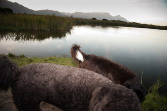 Jac Kritzinger, Friends (South Africa, Africa)