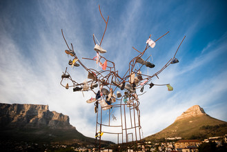 Jac Kritzinger, A different tree - Südafrika, Afrika)