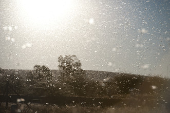 Jac Kritzinger, Locust storm (South Africa, Africa)