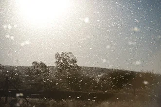 Fotokunst von Jac Kritzinger: Heuschreckenschwarm vor untergehender Sonne