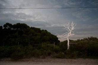 Fotokunst von Jac Kritzinger: Schotterstraße mit einem Baum in der Umgebung.