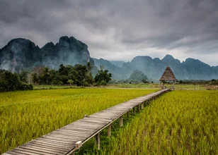 Photo art by Sebastian Rost: Jetty leading through green rice fields in Laos
