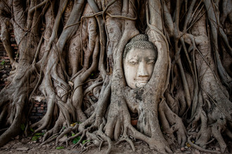 Sebastian Rost, Buddha in Ayutthaya (Thailand, Asia)