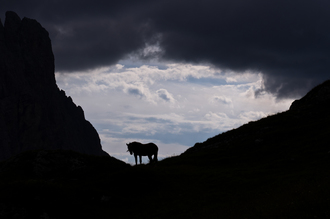 Andreas Weiser, in between - Italy, Europe)