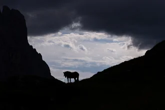 Photo art by Andreas Weiser: soft mountain landscape in Italy with warm light
