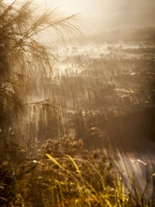 Photo art by Florian Büttner: calm sunrise over Java's mountains with grass.