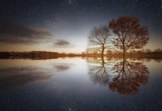 Zwei Bäume unter einem klaren Himmel, sanfte Reflexionen im Wasser.