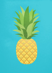 Angela Capillo, Ananas (Italy, Europe)