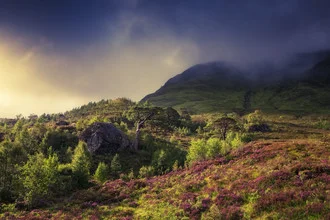 Photo art by Philip Gunkel: picturesque highland landscape with clouds and flower meadow