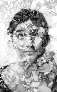 Madelaine Grambow, Metamorphosis - Sara - Germany, Europe)