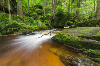 Günther Reissner, Ysperklamm (Austria, Europe)