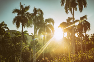 Saskia Gaulke, Sunshine - Cuba, Latin America and Caribbean)
