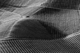 Günther Reissner, Wine Country (Austria, Europe)