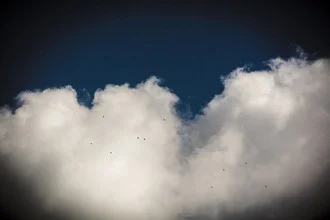 Photo art by Tal Paz-fridman: colorful balloons in a clear blue sky