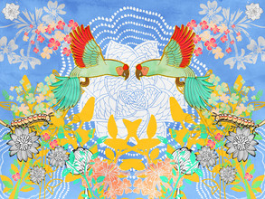 Catalina Villegas, Guacamayas