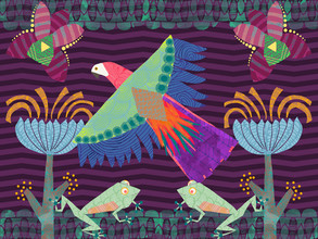 Catalina Villegas, Amazon Jungle