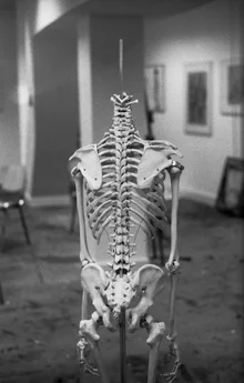 Photo art by Madelaine Grambow: skeleton capture with delicate details and soft lighting