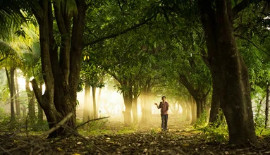 Photo art by Lucas Paolo K: Boy enjoying the sunset in the Nicaraguan jungle.