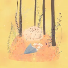 Wall art by Tingting Chen featuring floral motifs in soft colors