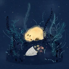 Photo art by Tingting Chen: Lively fireflies surrounded by plants at night.