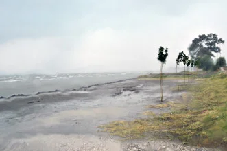 Photo art by Janek Markstahler: coastal landscape with trees and rain