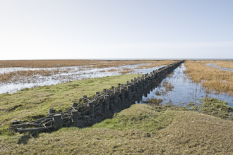 Petra Seiderer, Nordsee - Impressionen