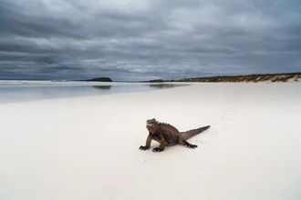 Photo art by Oliver Ostermeyer: serene landscape of Tortuga Beach in Ecuador