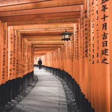 Fushimi Inari-Taisha, Kyoto: bright orange Torii and calm path through the architecture