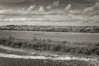 J. Daniel Hunger, Isle de Ré, Ars-en-Ré #1