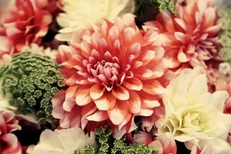 Photo art by Rolf Bökemeier: close-up of colorful flowers in soft hues