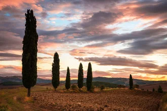 Photo art by Heiko Gerlicher: Cypress alley in Tuscany under sunlight.