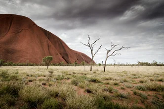 Photo art by Christian Seidenberg: a dead tree in the red Australian desert under a cloudy sky