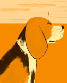 Enzo Lo Re, Architecture for Animals (Italien, Europa)