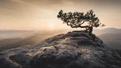 Home of the sun Lilienstein Saxon Switzerland Germany - Fineart photography by Ronny Behnert