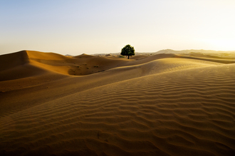 Daniel Schoenen, Wüste (Oman, Asien)