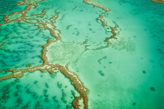 Martin Wasilewski, Great Barrier Reef