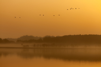 Angelika Stern, Morgenstimmung am Rederanger See - Deutschland, Europa)