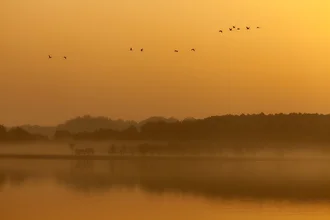 Photo art by Angelika Stern: Morning mood at Rederanger Lake, soft colors and mist