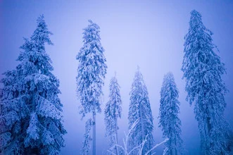 Photo art by Jakob Berr: frosty landscape with sparkling ice crystals